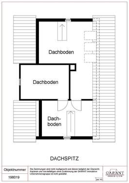 Dachspitz - 