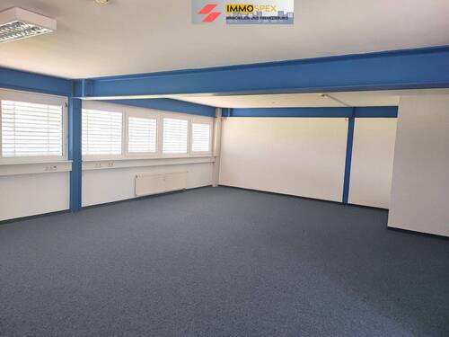 Büro Grenzach1.jpg - 