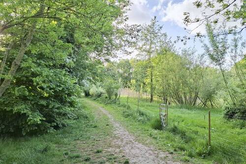 Weg zur Wiese am Biotop - 