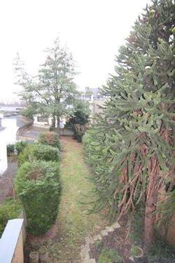 Blick in den Garten - 