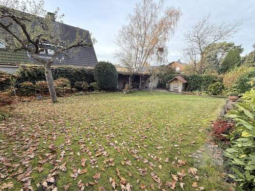 große Rasenfläche - 