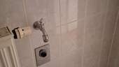 IMG-20250820-WA0053.jpeg - 