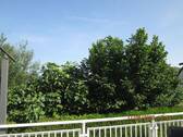 IMG_1442.JPG - 