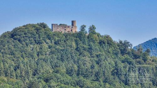 Burg Gräfenstein - Burgblick - 