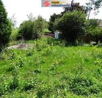 Einmalige Gelegenheit: großes frei stehendes Einfamilienhaus, welcher auch also Zweifamilien- oder Mehrgenerationenhaus genutzt werden kann (das Haus - Bad Säckingen Rippolingen