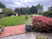 IMG_9205 - 
