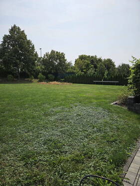 Bild 4 - 1 Zimmer Einfamilienhaus zum Kaufen in Simmern