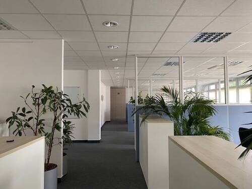 Bürofläche - Helle Bürofläche in zentraler Lage von Oberursel zu vermieten