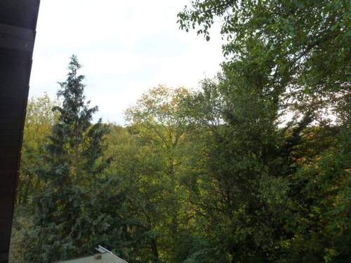 Fensterblick Süden - 