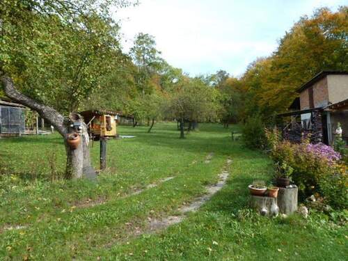 Festerblick Osten - 