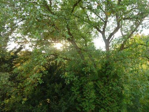 Fensterblick Westen - 