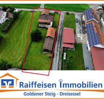 Hand- und Heimwerker aufgepasst! Ein-Zweifamilienhaus in absolut ruhiger Randlage - Grafenau Großarmschlag