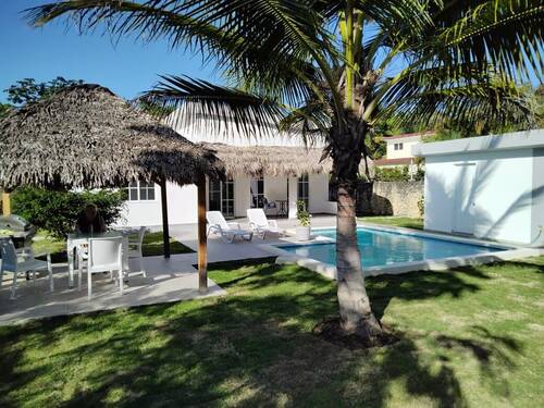 Sonnenschutz dank Palme - 