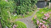 Garten im Sommer - 