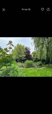 Bild 3 - 6 Zimmer Einfamilienhaus in Waltershausen