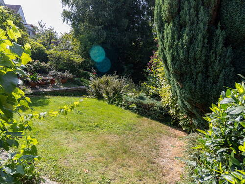 Blick in den Garten - 