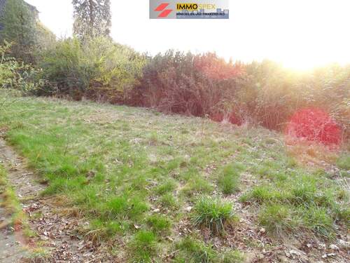 GrundstückHünerberg8.jpg - Grundstück in Lörrach zum Kaufen