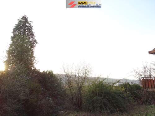 GrundstückHünerberg3.jpg - 