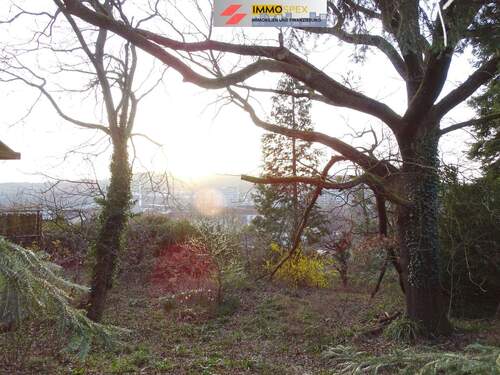 GrundstückHünerberg6.jpg - 