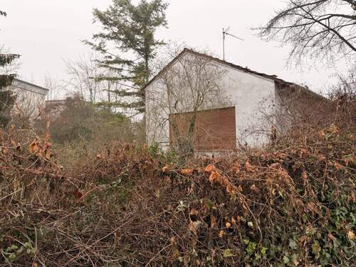 Gartenseite - Grundstück zum Kaufen in Limburgerhof