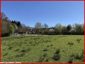 Blick zum Paddock - 