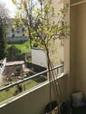 Aussicht Balkon - 