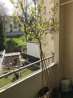 Aussicht Balkon - 