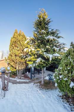 Blick in den Garten - 