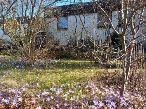 Vorgarten - 5 Zimmer Einfamilienhaus zum Kaufen in Freiberg