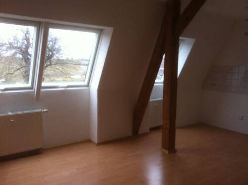 Wohnzimmer mit Küche - 1 Zimmer Mehrfamilienhaus, Wohnhaus in Taura b. Burgstädt