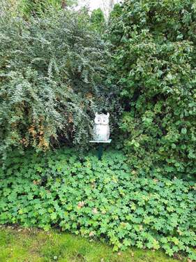 Eule - Seltenes großes Freizeitgrundstück mit Wochenendhaus und Obstbäumen im Waldgebiet