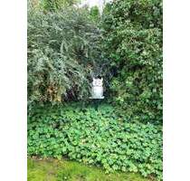 Seltenes großes Freizeitgrundstück mit Wochenendhaus und Obstbäumen im Waldgebiet - Würzburg Unterdürrbach