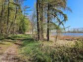 Weg am See.jpg - 