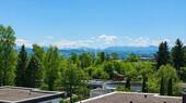 Alpenpanorama - 