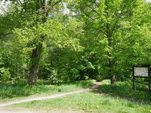 Zugang zum Wald - 