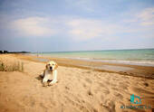 Bild 19 - 