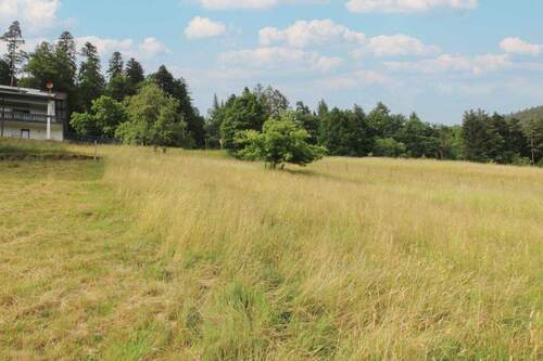 Grundstück von unten Bild 4 - 