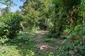 ... Garten - 