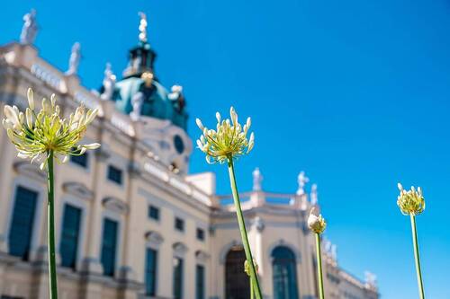 Schloss Charlottenburg - Gewerbeobjekt (Büro, Produktion, Verkauf) zum Kaufen in Berlin