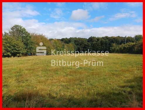 Lage - Attraktive Baugrundstücke in Ortsrandlage