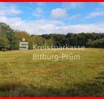 Attraktive Baugrundstücke in Ortsrandlage - Herforst