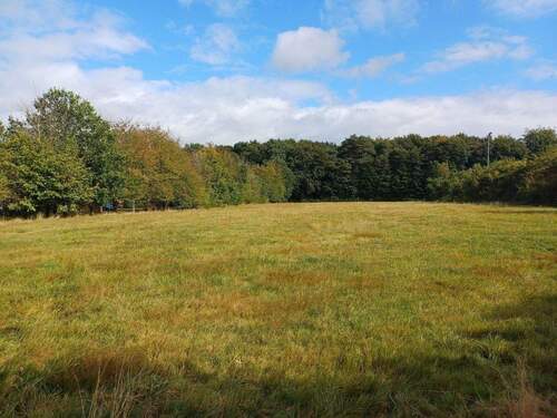 Lage - Grundstück zum Kaufen in Herforst
