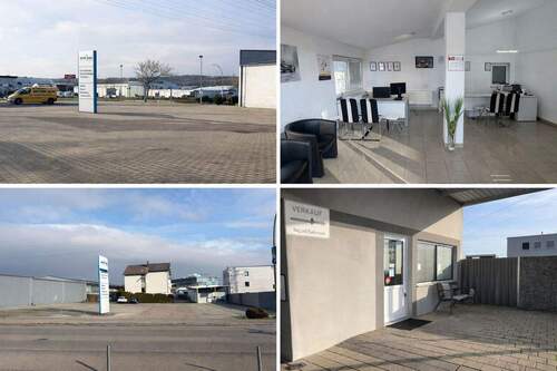 WhatsApp Image 2026-01-31 at 16.04.26.jpeg - 