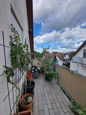 Hier wachsen sogar Tomaten - 