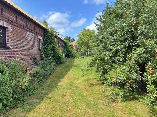 Garten hinter dem NG - 