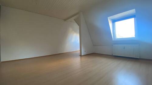 Große Fenster und Dachfenster - 