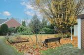 Gartenansicht_2 - 