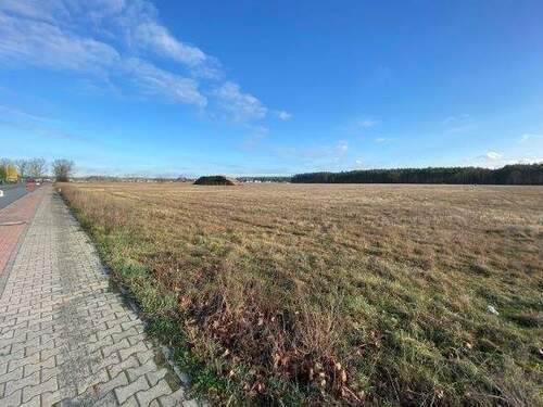 Blick auf das Grundstück - Tolles Grundstück in guter Lage!