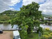 Aussicht auf die Lahn und die alte Eiche - 3 Zimmer Etagenwohnung zur Miete in Dausenau