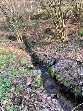 der Bachlauf - 